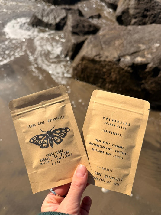 FALL SAMPLE BUNDLE (0.3 oz each sample)