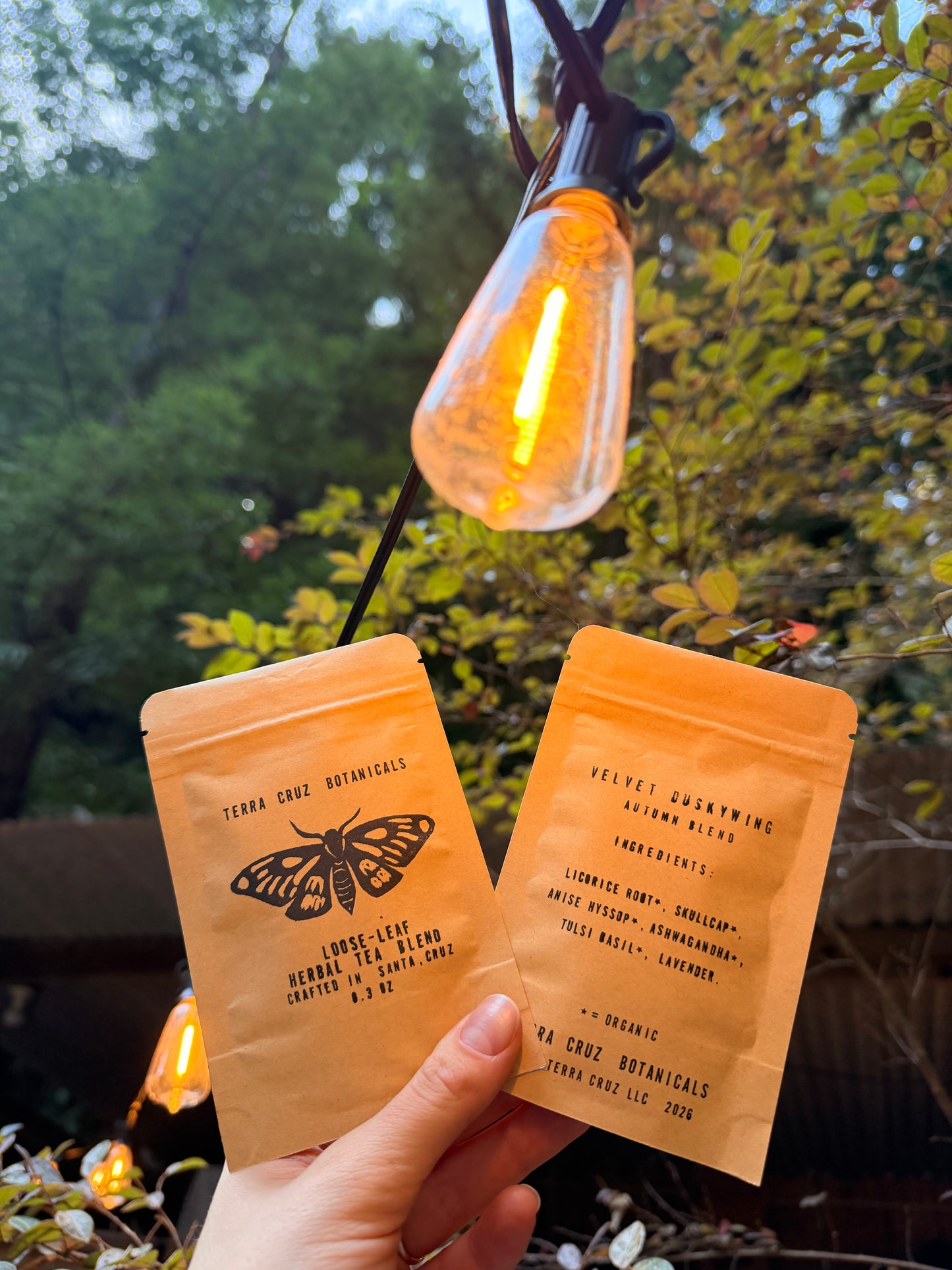 FALL SAMPLE BUNDLE (0.3 oz each sample)