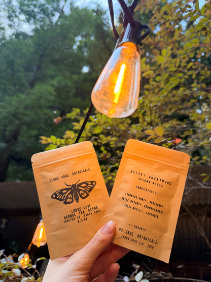 FALL SAMPLE BUNDLE (0.3 oz each sample)
