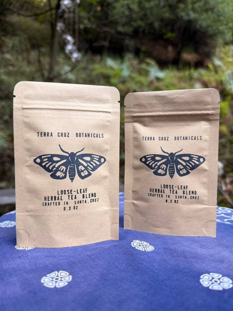 FALL SAMPLE BUNDLE (0.3 oz each sample)