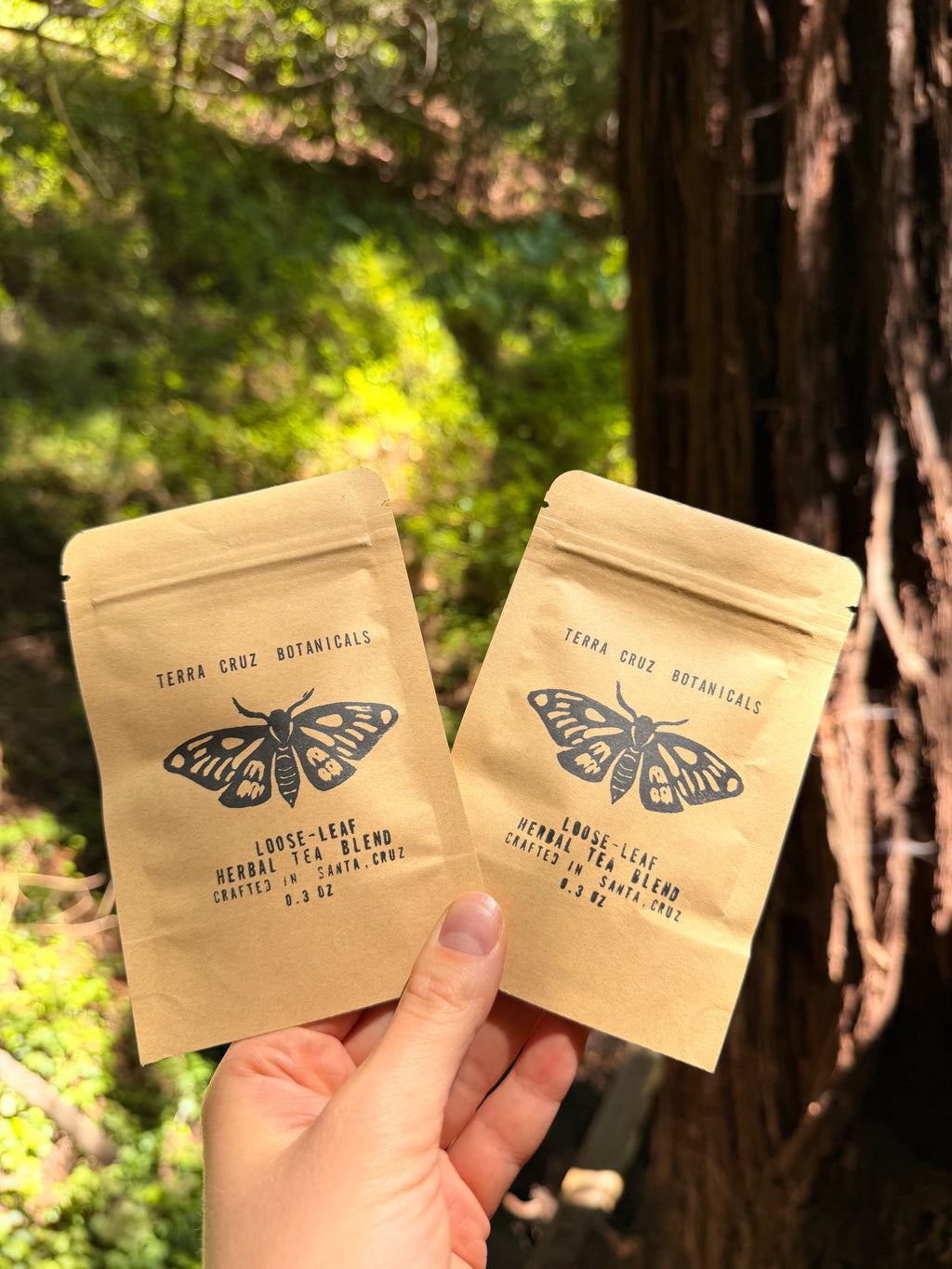 SUMMER '26 SEASONAL SAMPLE BUNDLE (0.6oz)